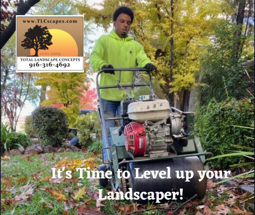 It's Time To Level Up Your Landscaper!
