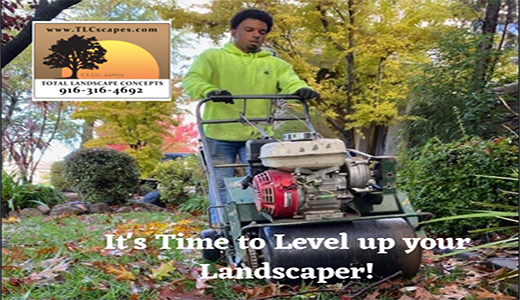 Call TLC for Seasonal Specials 916-316-4693
