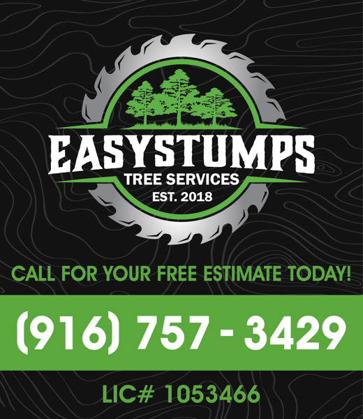 "Quality tree care grounded in reliable service."